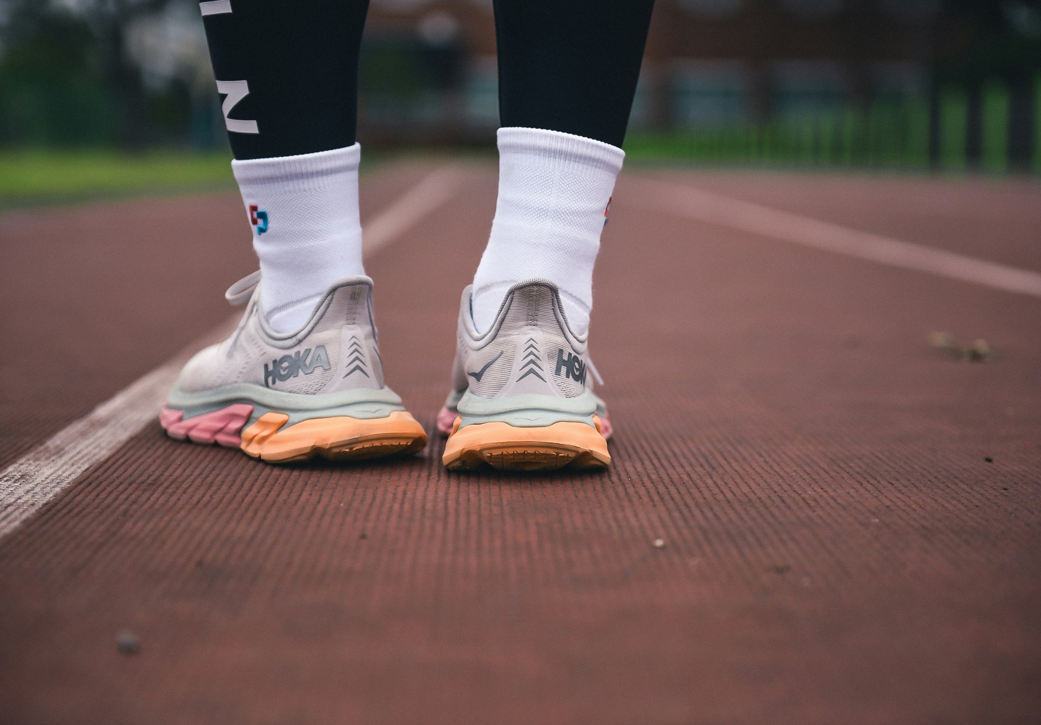 Why You Should Start Walking