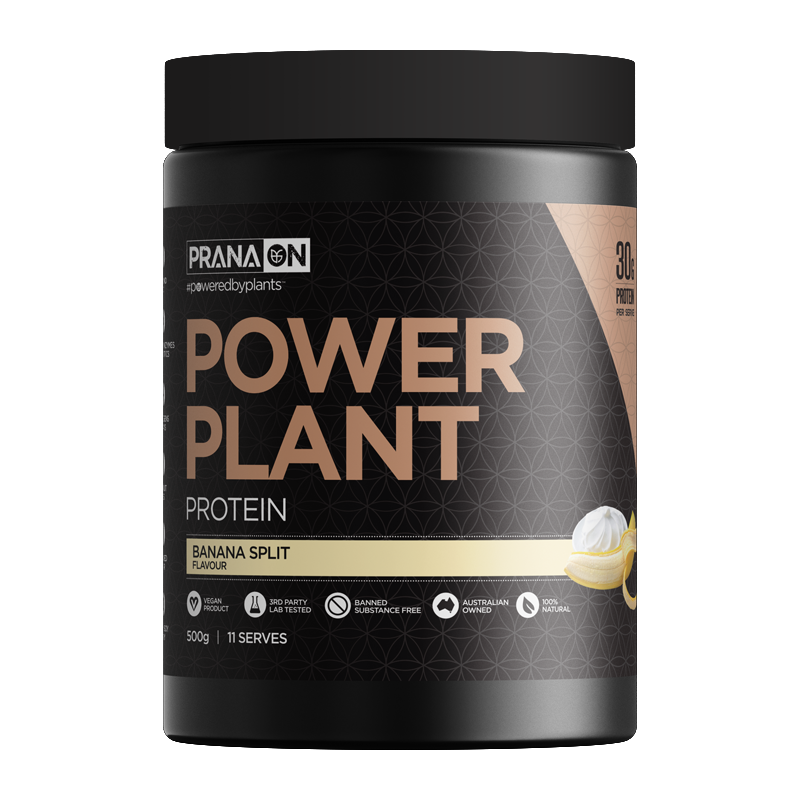 PRANA ON Power Plant
