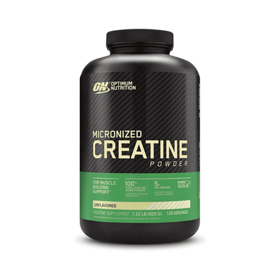 OPTIMUM NUTRITION Micronized Creatine Powder