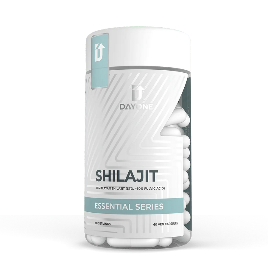 DAY ONE PERFORMANCE Shilajit